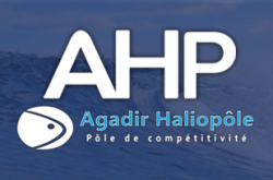 Agadir Haliopole -AHP